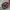 Close-up of a red SB Thunder electric bike wheel with a black tire against a concrete wall.