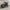 Black Lightning MD motorcycle parked against a concrete wall