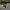 A rider on a modern SB STorm R electric motorcycle performing a wheelie on a paved road.